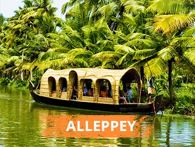 ആലപ്പുഴയിലെ കായലിൽ തെങ്ങുകൾക്കിടയിലൂടെ നീങ്ങുന്ന ഹൗസ് ബോട്ട്