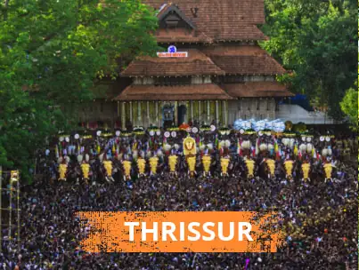 തൃശ്ശൂർ പൂരം — വടക്കുന്നാഥ ക്ഷേത്രത്തിന് മുന്നിൽ അലങ്കരിച്ച ആനകളും ജനക്കൂട്ടവും